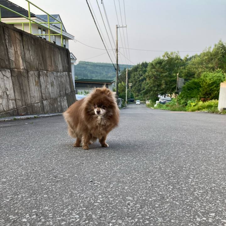 6e87fa21 0ee9 43eb 8b65 549776a94476 1720734569793