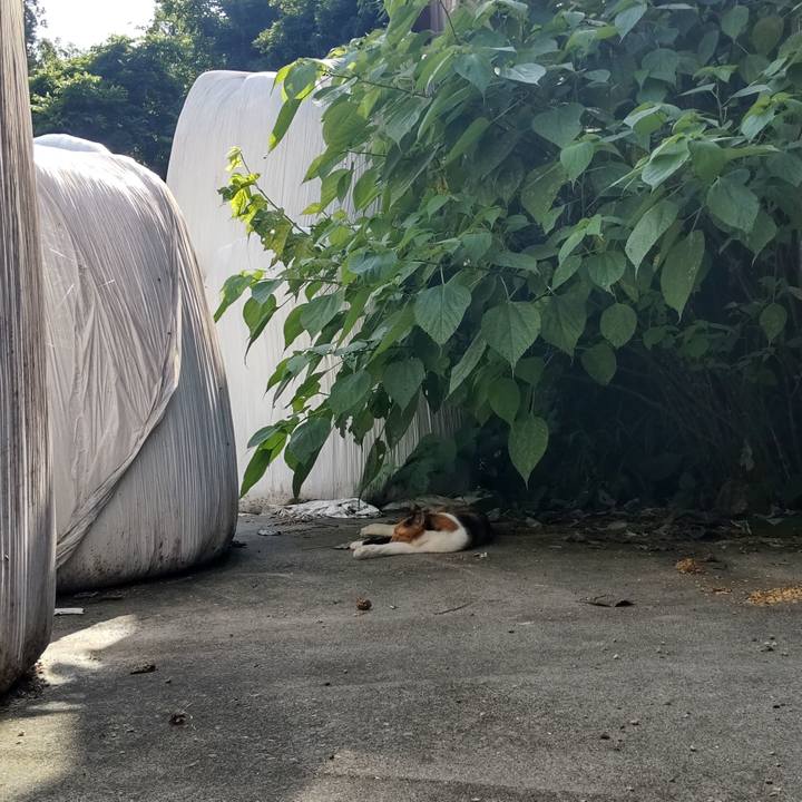 6e8801b3 2cc7 4df4 b936 95e5ab74675b 1688767427224