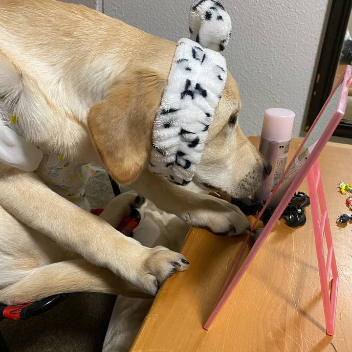 6e880e36 bcf8 4646 bca4 17c1313c55f6 1618656735199