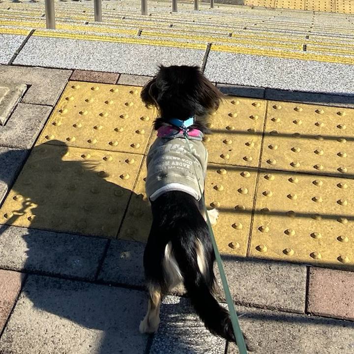 6e881e60 dc47 408f b07f bbba2149e3d4 1704588689940