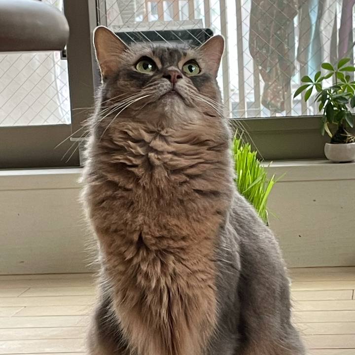 6e884921 9268 4e6c 87c9 75107313d6d0 1606132477203