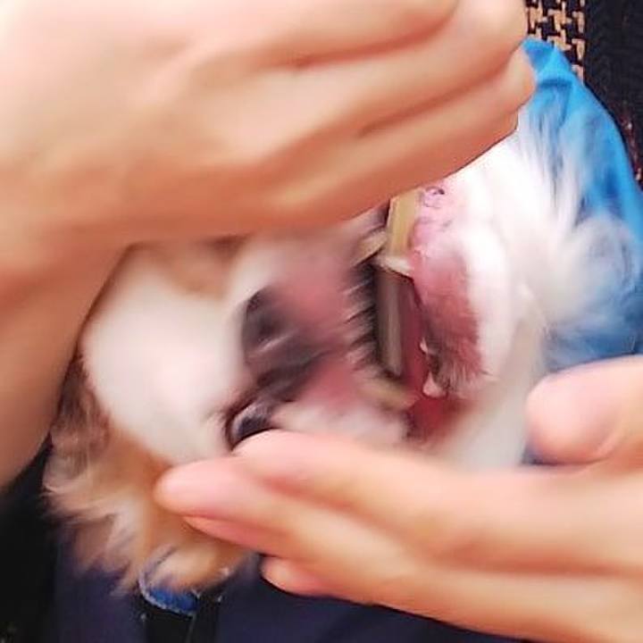 6e884ced 2d10 407b bb32 aac712d93c45 1704034597268