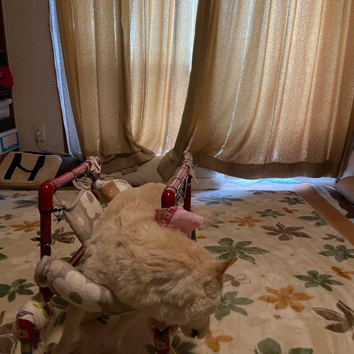 6e887158 f9f7 47ac bc08 28d82e6c10a6 1671574314943