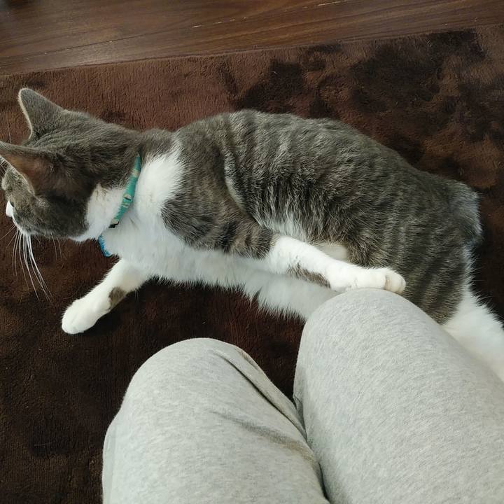 6e887164 2ffd 413b 9777 a52509925f27 1581031781917