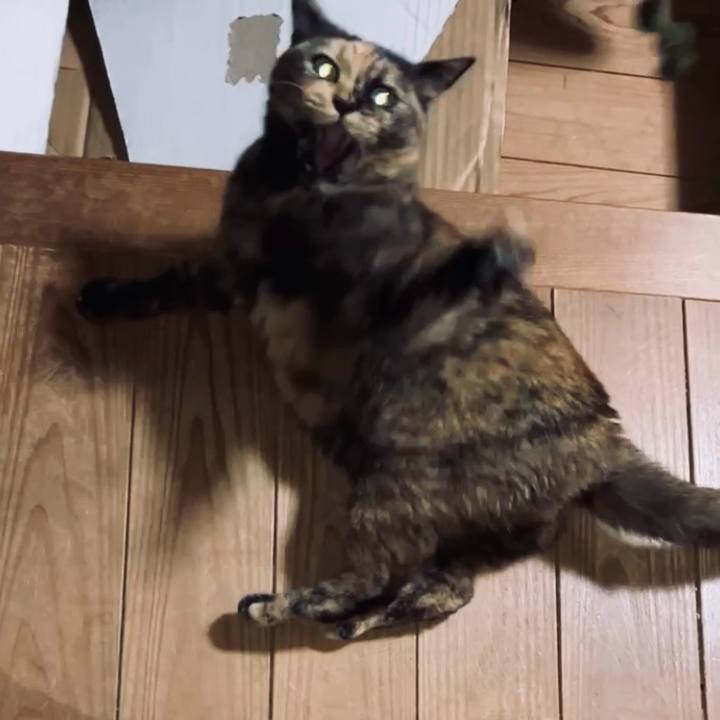 6e887182 4c03 4f29 bdd6 e4a7e9713ae1 1733946669728