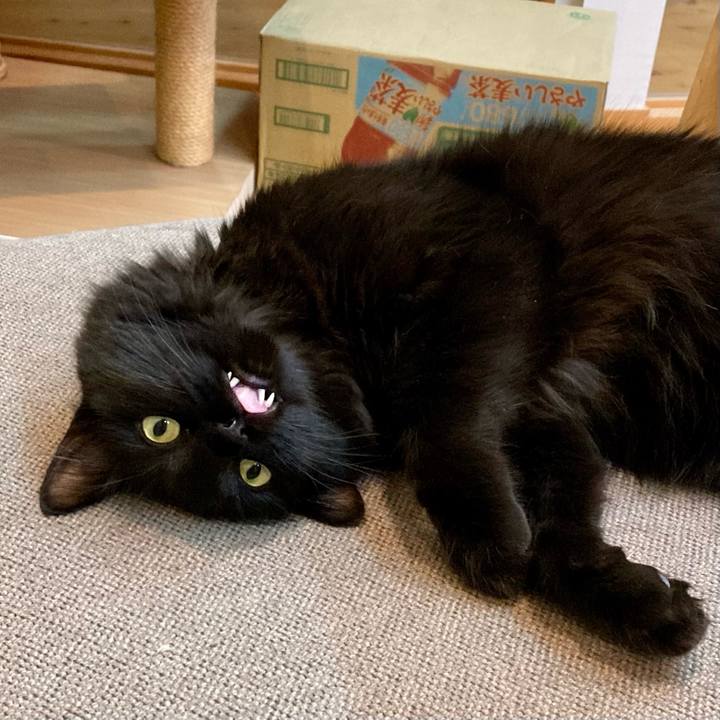 6e887422 e205 4152 aa25 774246627c27 1754866222443