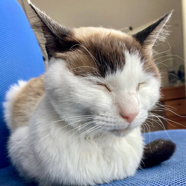 6e88795f fc71 4e30 9c73 c707f39c6e2b 1677976702827