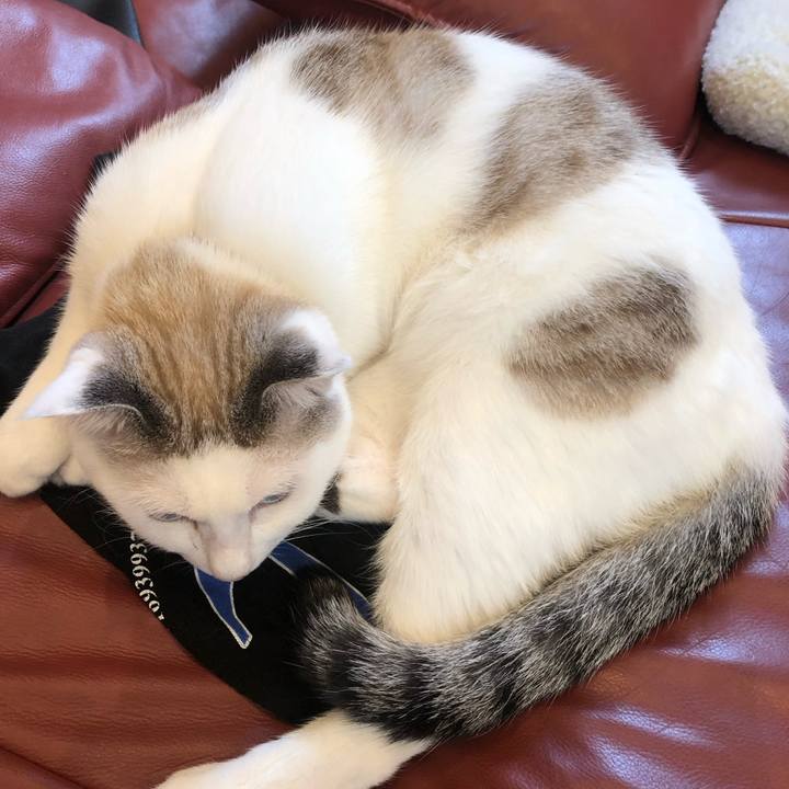 6e8937f2 1926 47d3 bd61 c45570ada77f 1570411661701