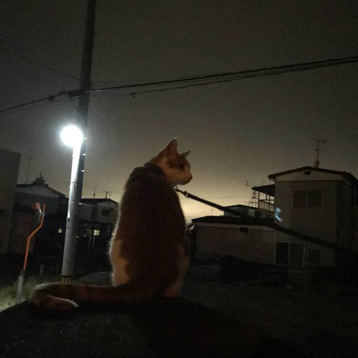 6e8992f4 f872 49d9 a9c1 a4cb5ef6e1f3 1512036819878