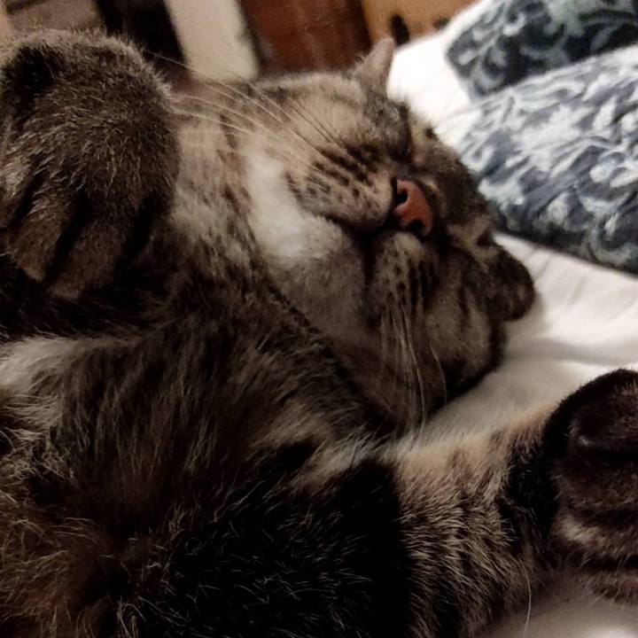 6e89938d 10d7 451a 9d32 bc0024010ccd 1621813961607