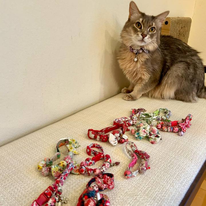 6e89af67 766b 4284 8d4e 5e1f977b4531 1767079380480