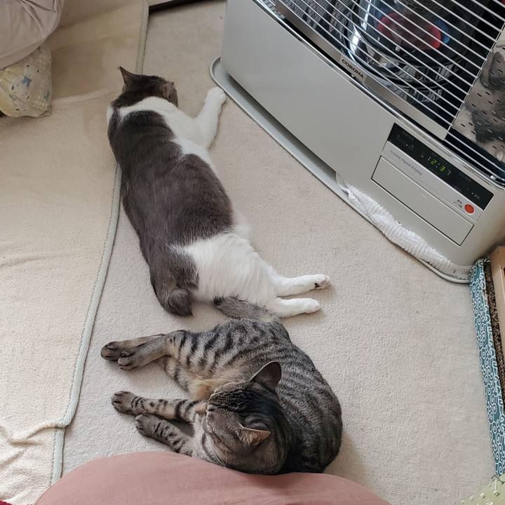 6e8a1b41 353a 4772 90c9 51395355aa6f 1705890202070