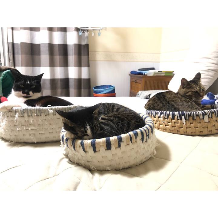 6e8a8f34 5c06 446c a7e1 d6c1b2fd5230 1631858927360