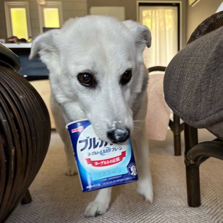 6e8a9aed 23d7 4011 8493 f5598917c6ff 1746415181932