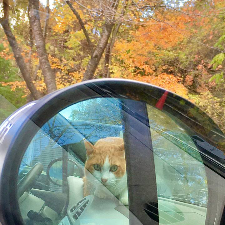 6e8ac322 25c7 43ac 8a5f 683575f98bbc 1574320762546