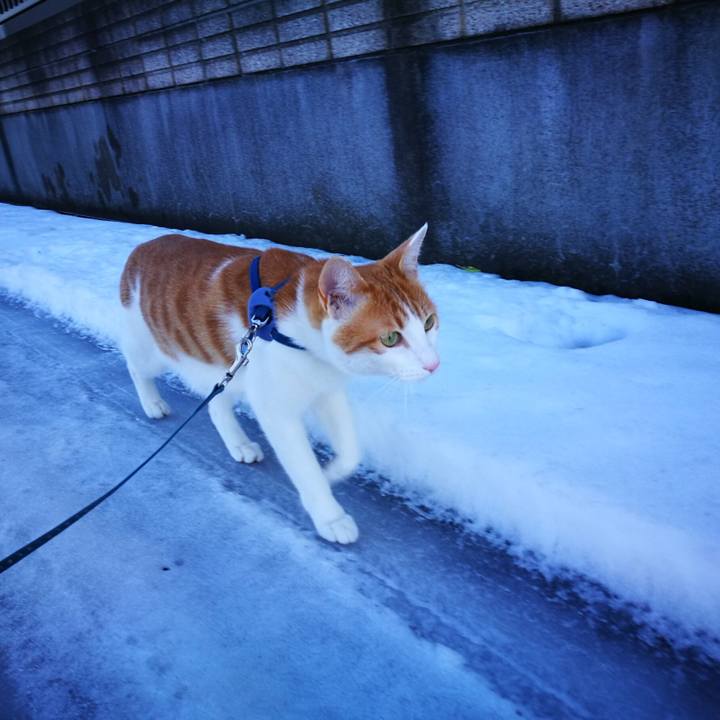 6e8ac760 e862 4d16 ac43 2ea337259d77 1517642442857