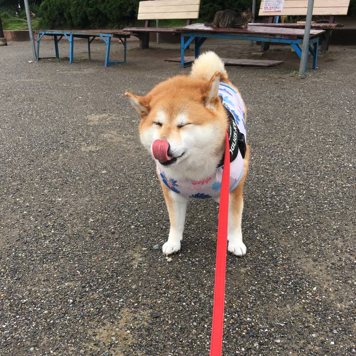 6e8b06b8 bf8f 450b bc5f 4b57c9d9b35b 1593823700399