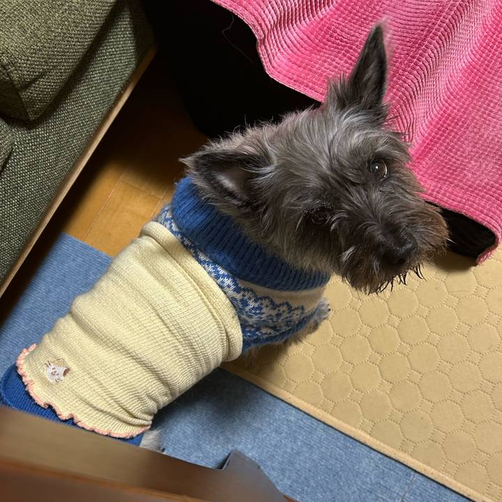 6e8b2286 bbdf 47e7 b6ac de4f4278f3a6 1774094986399