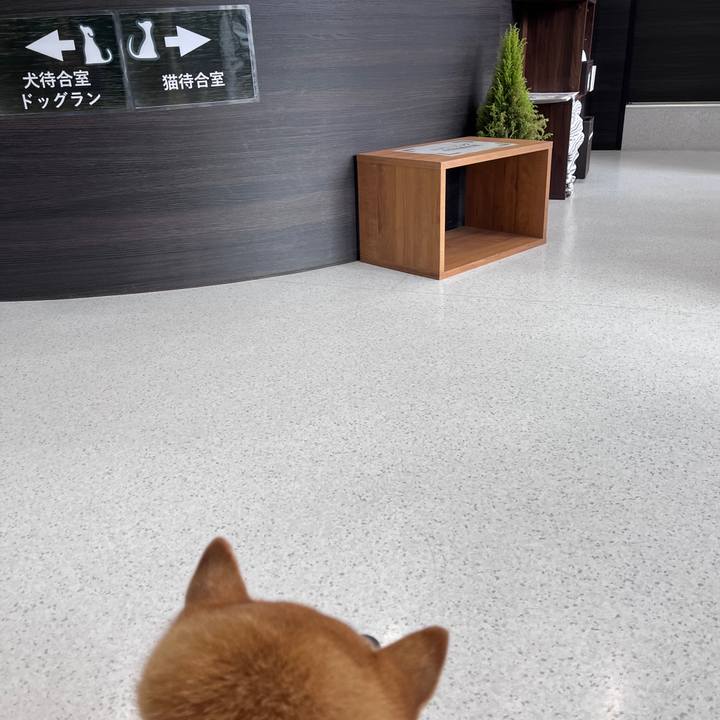 6e8b2e33 fe01 4c47 b97e a586c1f8990c 1703022593390