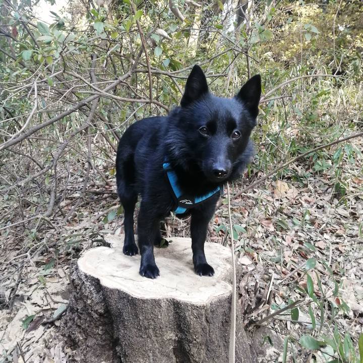 6e8b38c9 de10 49bf 828d a88c25e2588a 1645831641635