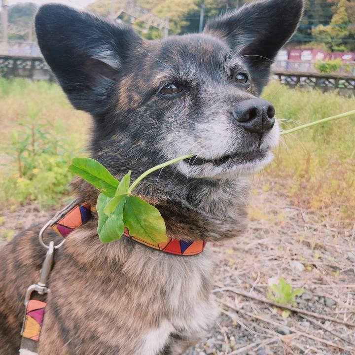 6e8b3c12 86fc 480c aff6 5a92dc13fcbd 1618296441881