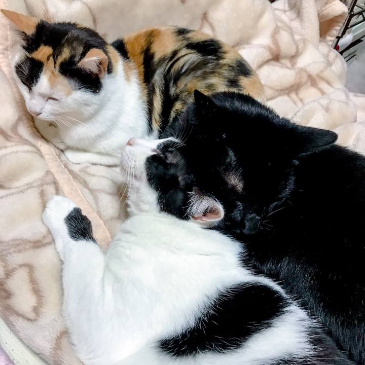 6e8b60a6 3ce1 4ce0 9bee d4f0cf8a7c4a 1509718999859