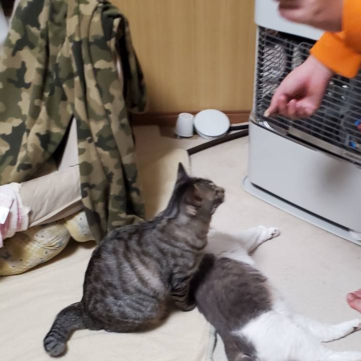 6e8bbd90 a4a2 4667 82b6 4da51374ab2a 1706629771414