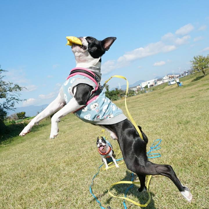 6e8bdc21 27fd 49f3 8989 06d253c6c218 1509886299885