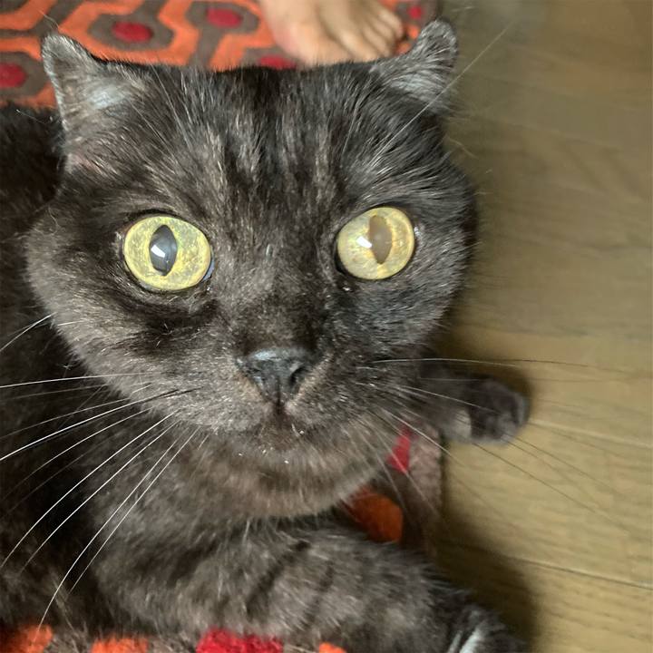 6e8be52d 9f4f 48dc 8800 9cd854d174c9 1593822536499