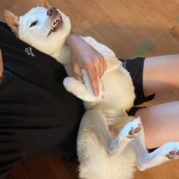 6e8bf5c2 37a0 4848 9284 a45629a596e8 1663141021777