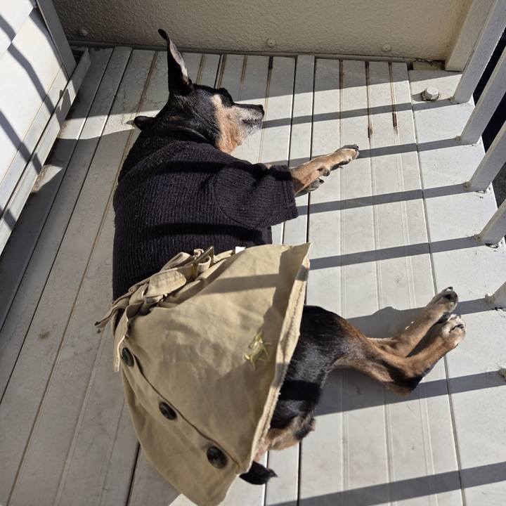 6e8c1036 ded3 4899 989d 75248ba7ce5f 1767068902972