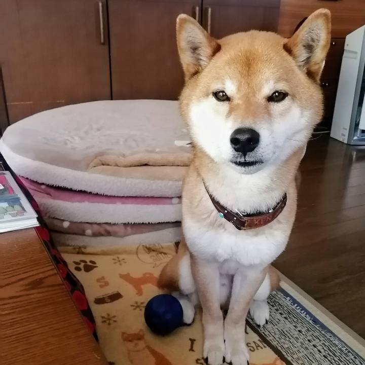 6e8c2592 cdce 49ae 8ac2 4c29ec5afc90 1586677840584