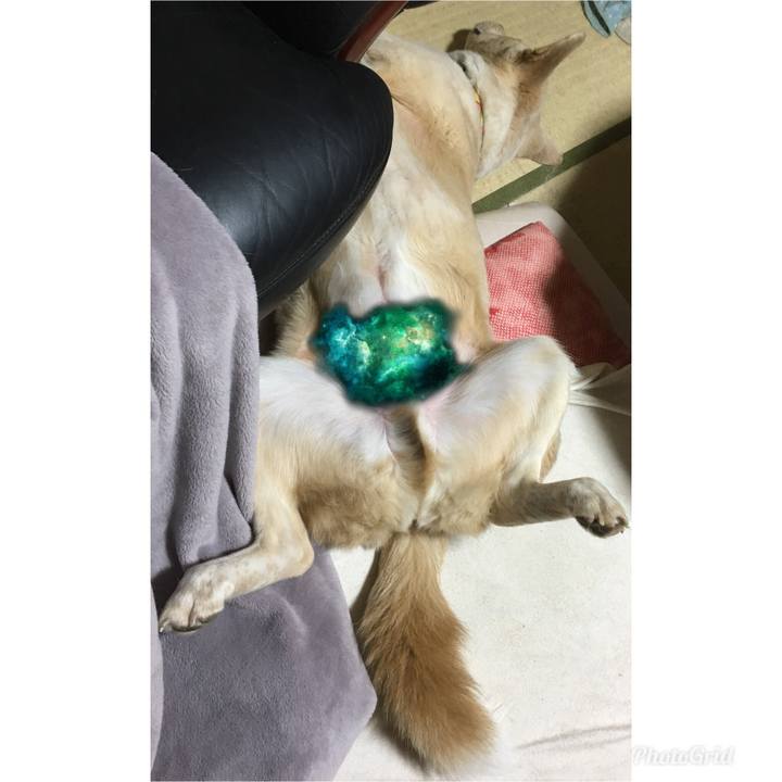 6e8c79ca 1407 473e aedf b10e558f2b64 1522331393360