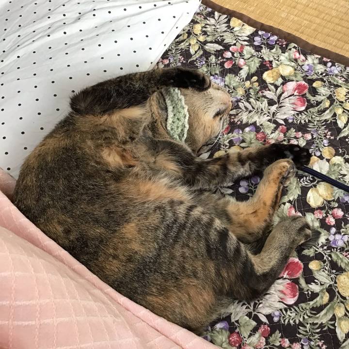 6e8c8d7b 0a6c 4f21 aa5e 763e7657a342 1646986231591