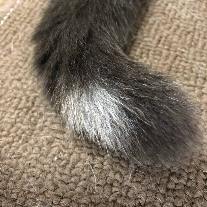 6e8c9f21 b003 4986 b713 4dc6d9d58aa2 1527639615929