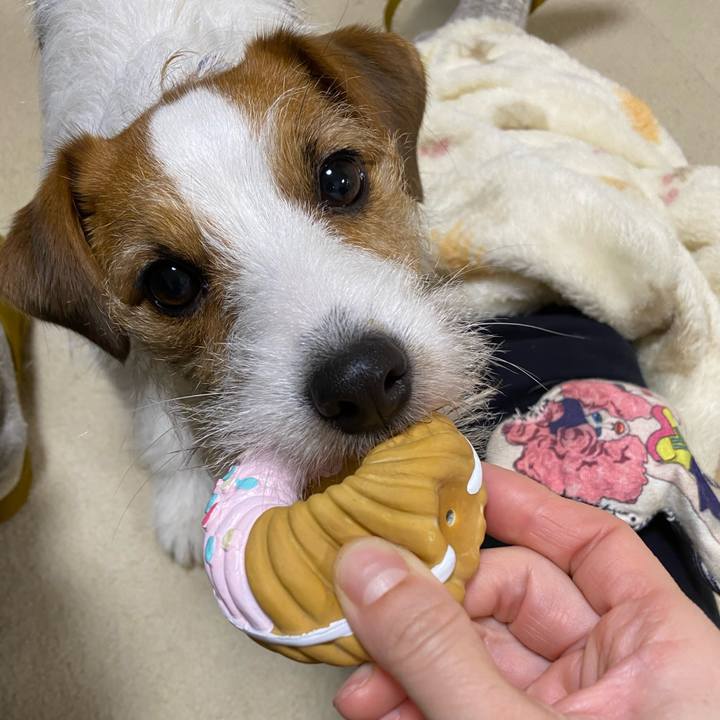 6e8ca3a3 f794 4a77 800e d1c3494f9c12 1676118331708