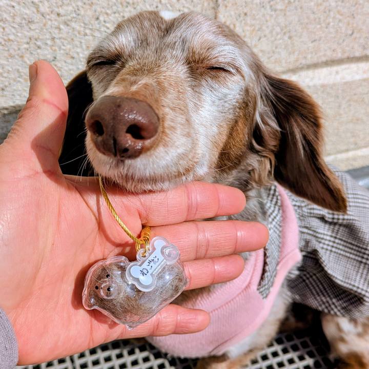 6e8cc770 c9f7 4205 ad3d c8c5199cab4f 1770349191265