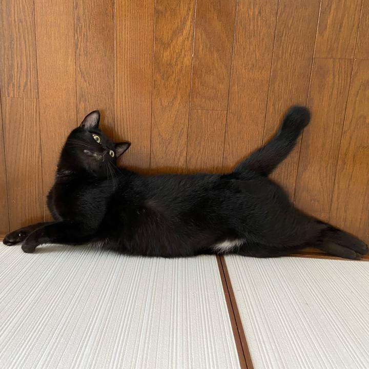 6e8cf374 a896 48ba 9377 29d9f5eeff04 1655465570013