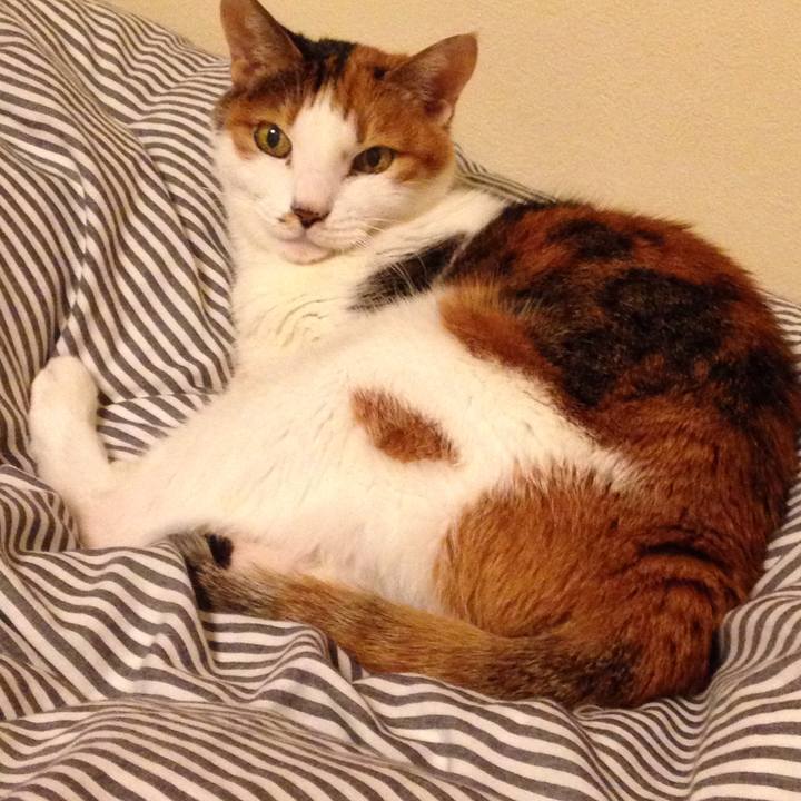 6e8d1742 55bc 439b b927 15d9b6326fda 1541688264105