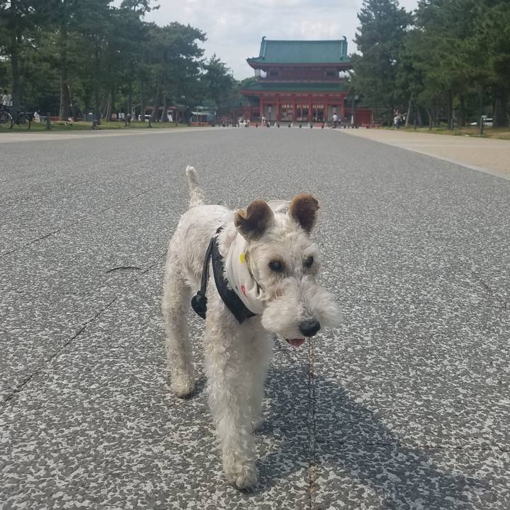 6e8d3785 e0fa 4d23 8aaf 05e13fa1b67e 1590822620507