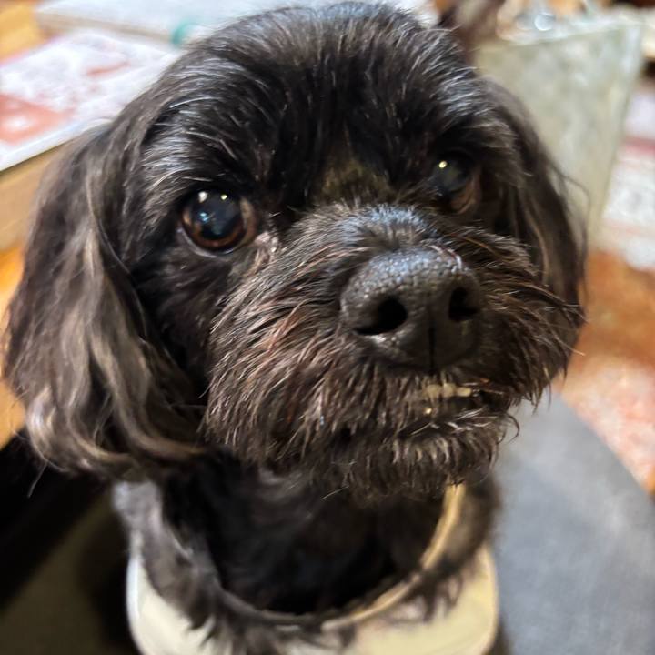 6e8d4d5c 665e 41a3 8569 1bfbf0e50bae 1762180473501