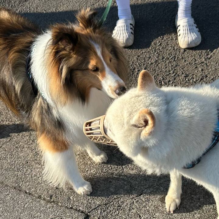 6e8da35c e556 4563 9bb0 849a9d10f262 1752441294168