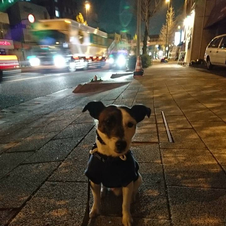 6e8da87a c39c 4f9d 9ccd a45b42127685 1522753514963