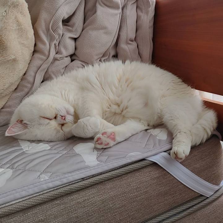 6e8e3210 95a6 4362 bc9a f9fcc338e366 1749946712685