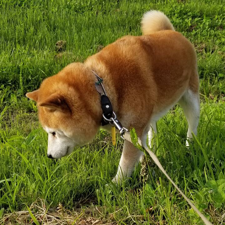 6e8e6556 2e11 4d46 8b8b 19414047685d 1622188914807