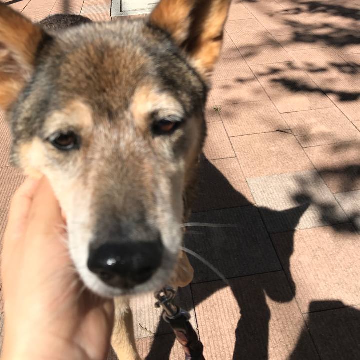 6e8e72ad 0f91 4f71 b602 12e3c43e8b5f 1534558902999