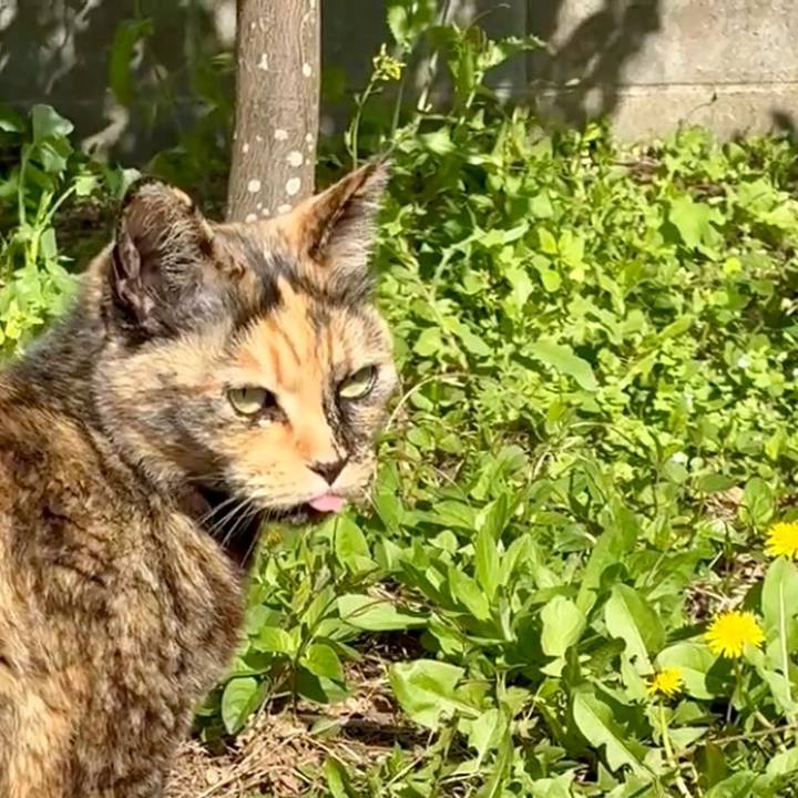 6e8ed85d 2037 4827 819f d0276d7c6fae 1745893436809