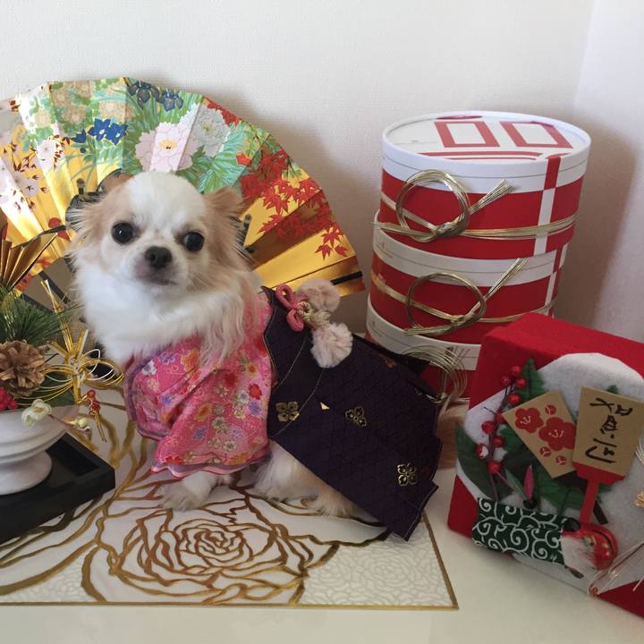 6e8ede42 0f1e 4f36 925d ec7d3d3a53fc 1546493955443