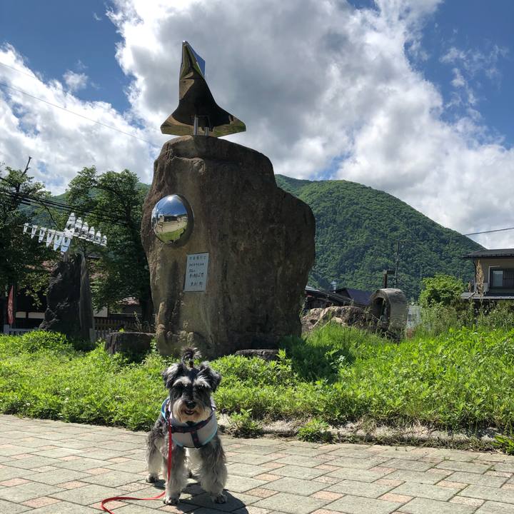 6e8f0e2a b46e 4e21 96e4 51b446d20ac3 1621750284883