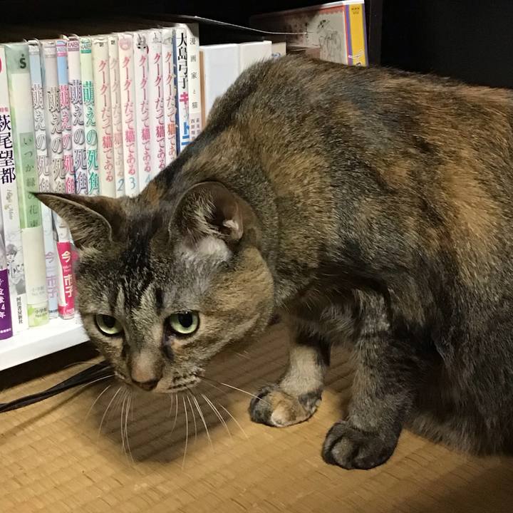 6e8f10ff 1460 4d84 b77f dbec86fe1370 1762511025461